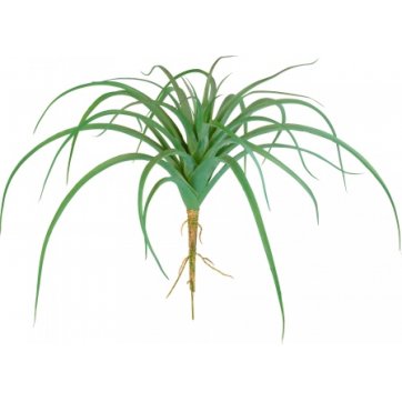 Sia SIA ARTIFICIAL GREEN TILLANDSIA 32cm
