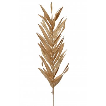 KAEMINGK ΑΠΟΞΗΡΑΜΕΝΟ ΚΛΑΔΙ ΚΑΦΕ 