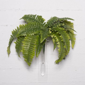 SUPERGREENS ΤΕΧΝΗΤΗ ΧΩΝΕΥΤΗ ΦΤΕΡΗ BOSTON ΠΡΑΣΙΝΗ 52cm