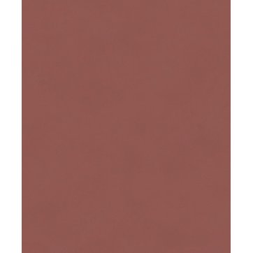 Khrôma by Masureel MASUREEL - WALLPAPER ''THE COLOUR BOOK COLOR BRICK''